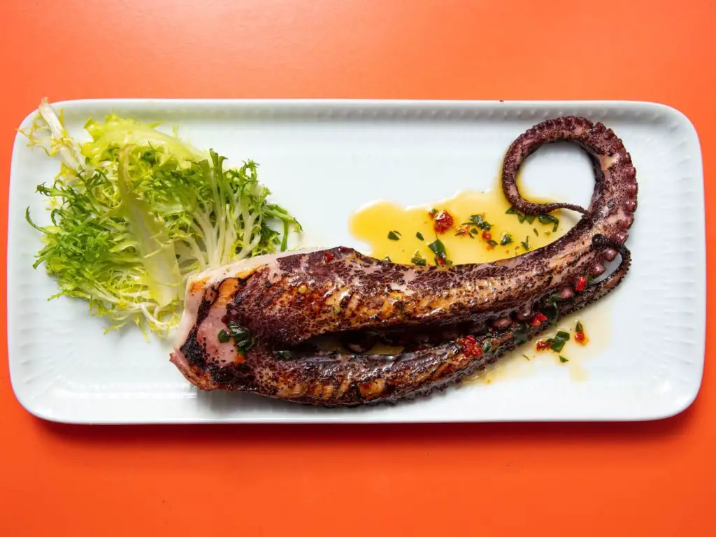 Grilled-Octopus