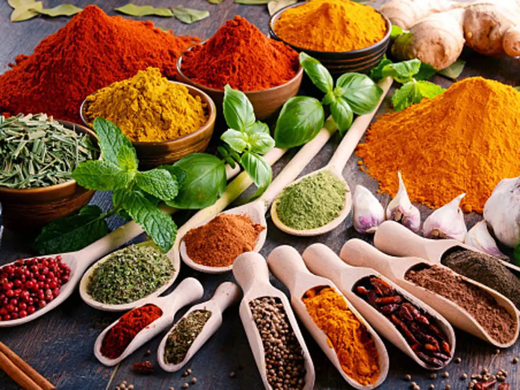 indian cuisine spices