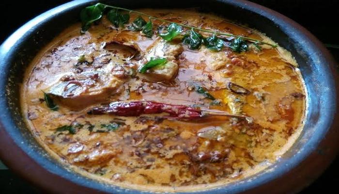 aila curry