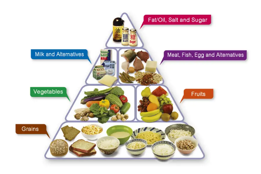 Categories of food to stay fit. 