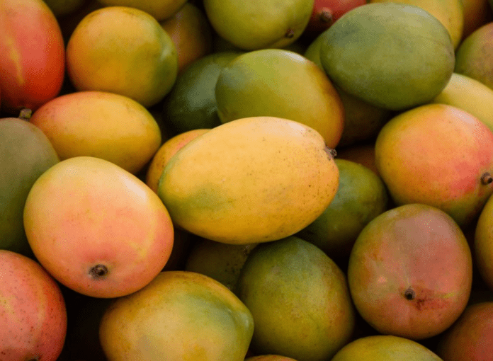 Best Indian Mangoes